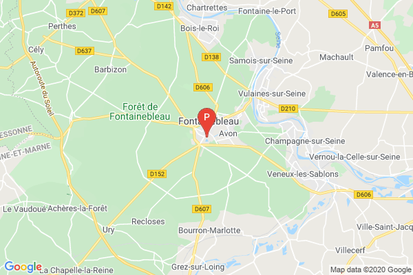 Château de Fontainebleau,77300 Fontainebleau, Francia