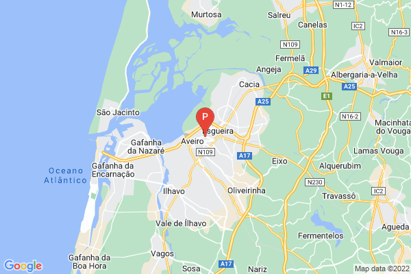 Combóio Histórico do Vouga,Estação de Aveiro, R. Dr. João de Moura 2, Aveiro