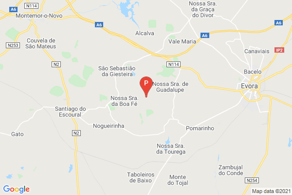 Cromeleque dos Almendres,Nossa Senhora de Guadalupe, Évora