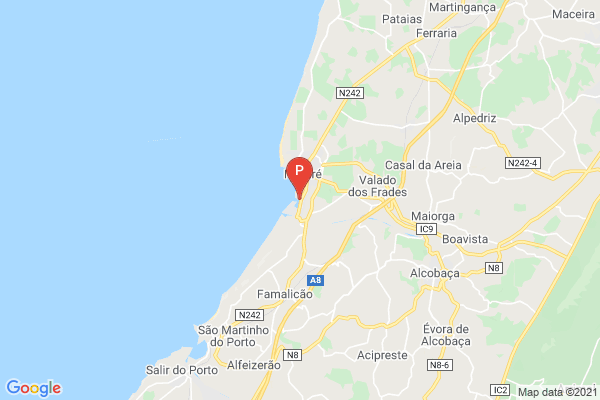 Observação de Golfinhos Saídas da Nazaré,Porto de Abrigo da Nazaré