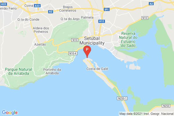 Observação de Golfinhos Saídas de Tróia,Marina de Tróia