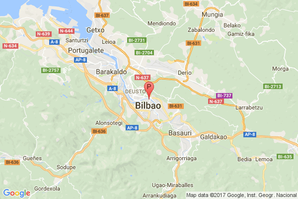 Museu Guggenheim Bilbau,Abandoibarra Etorb., 2,48009 Bilbao,Bizkaia