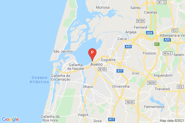 Visita às Salinas de Aveiro,8, R. do Dr. Bernardino Machado, 3800-180 Aveiro